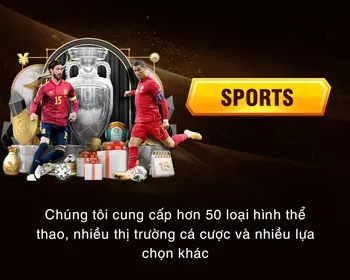 Cá cược thể thao Netwin